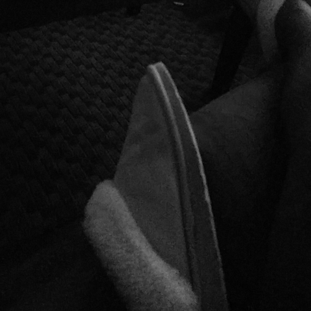 House shoe
